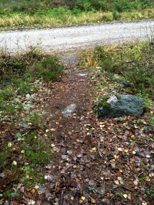 nuuksio2