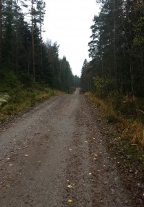 Kuva 3 - Loppupuolisko kulkee metsäautoteitä pitkin. Tämänkin osuuden pääsee kulkemaan kätevästi fillarilla.