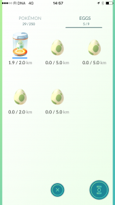 Viisi munaa, josta yhtä on haudottu 1.9 km matka.