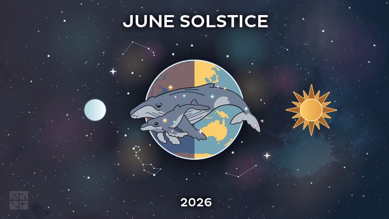 June Solstice 2026 souvenir-kuvitus, jossa ryhävalas